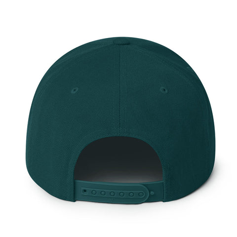Mlp Snapback
